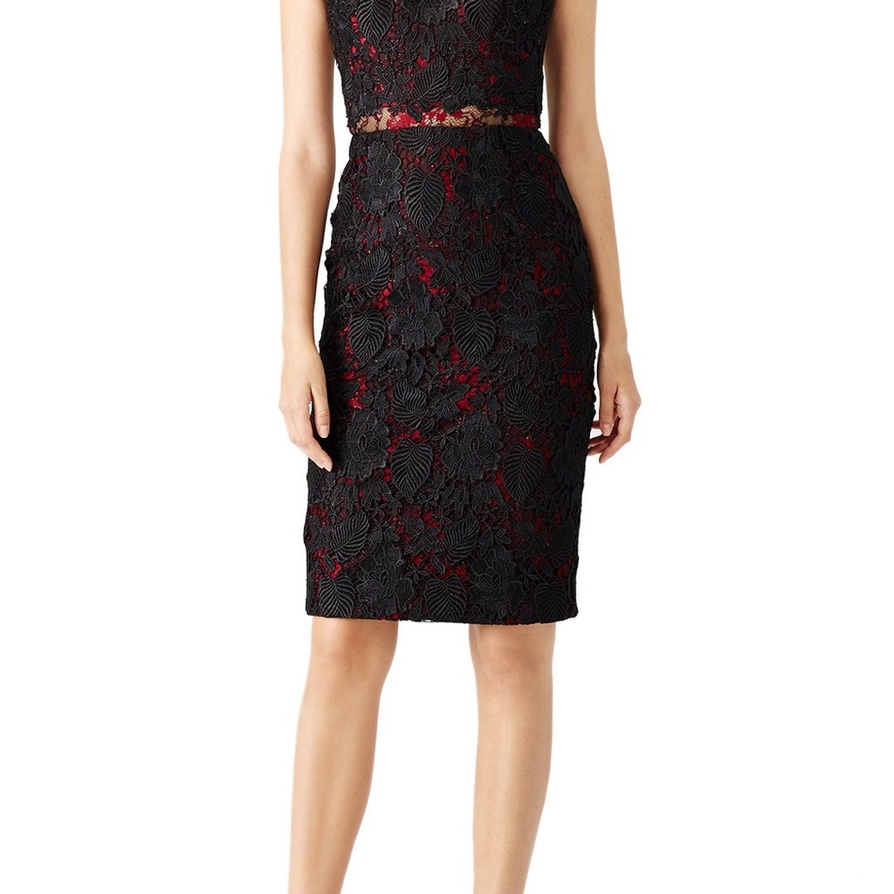 ML MONIQUE LHUILLIER Royal Rose Sheath dress size 12 embroidered macramé lace
